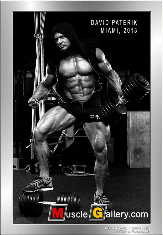 MuscleGallery David Paterik 1