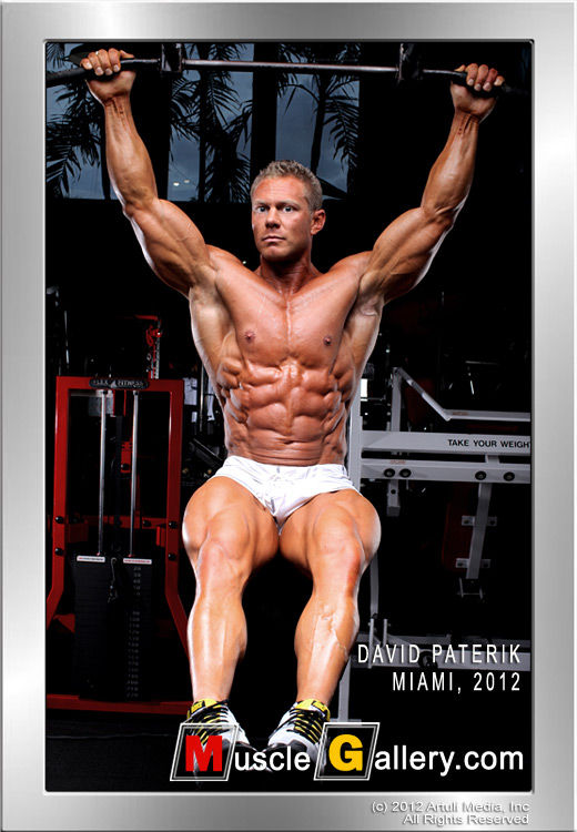 MuscleGallery David Paterik 1