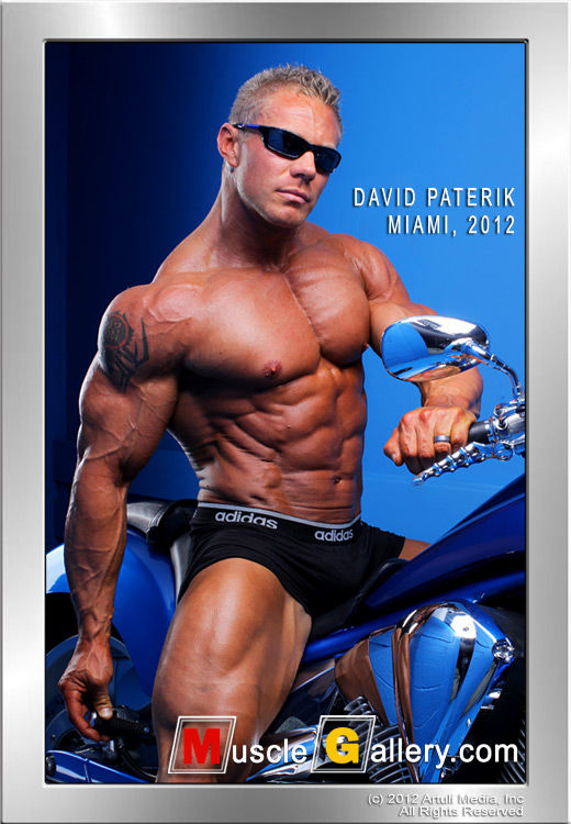 David Paterik Muscle Gallery