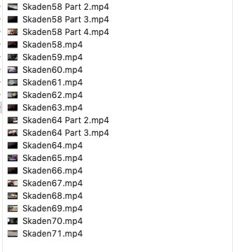 Skaden11 OnlyFans Collection Part 3 - RARE