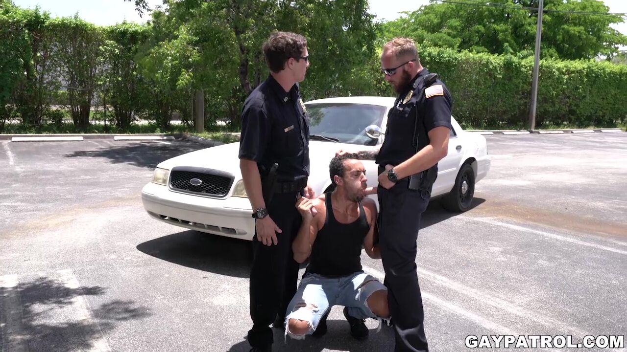 A Matter Of Joke Gay Patrol - Dustin Steele, Jay Alexander